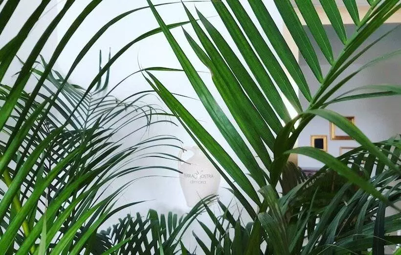 ベッドアンドブレックファースト Sea Suites