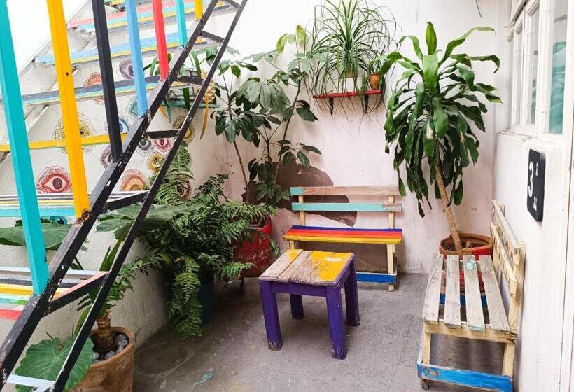 Pansiyon Monkey Safari Hostel