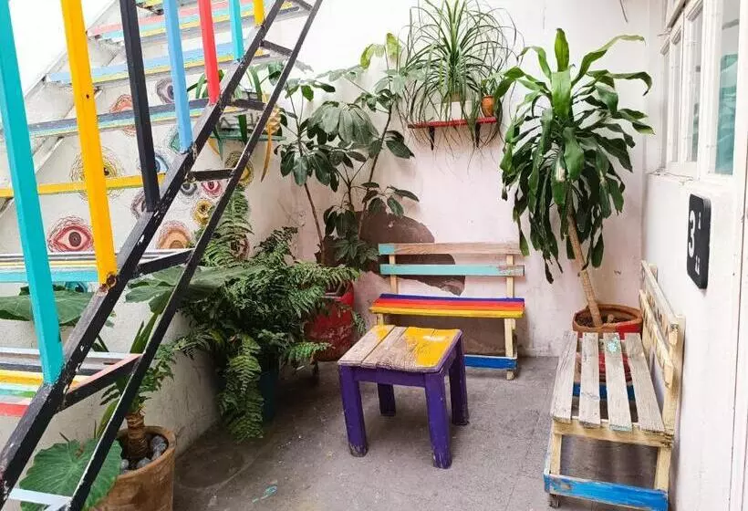 پانسیون Monkey Safari Hostel