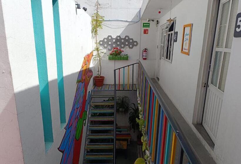 Pansiyon Monkey Safari Hostel