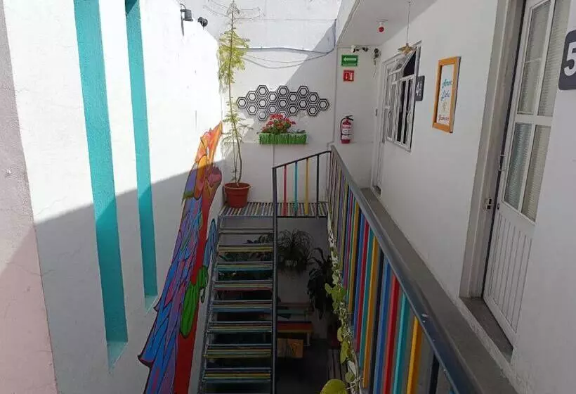 پانسیون Monkey Safari Hostel