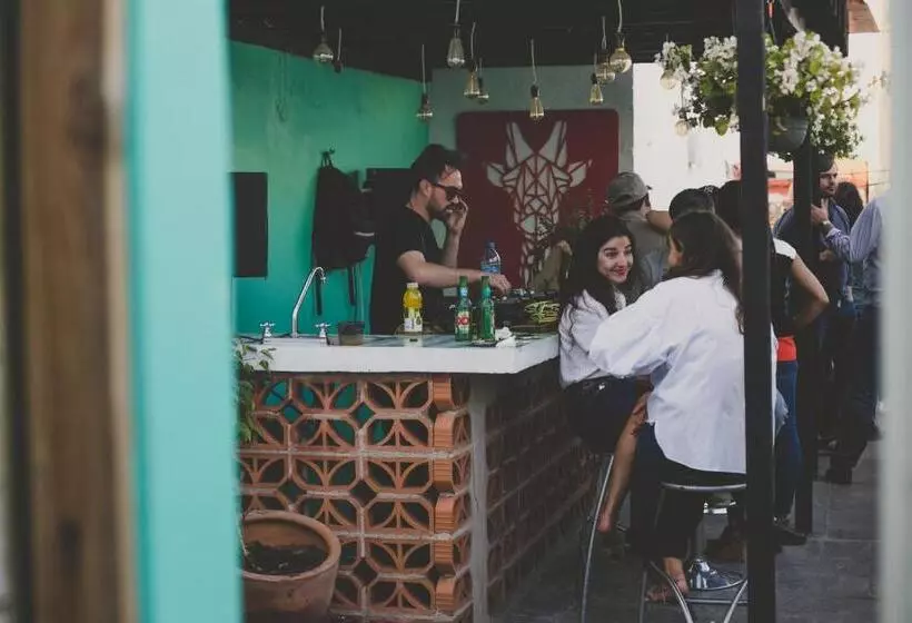 پانسیون Monkey Safari Hostel