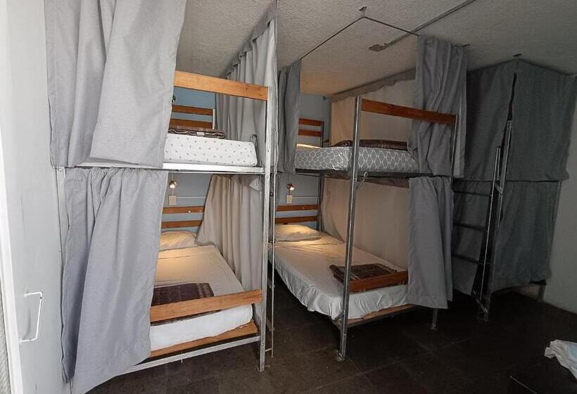 Pansiyon Monkey Safari Hostel