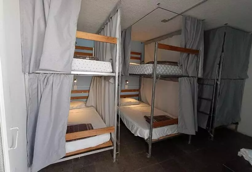 پانسیون Monkey Safari Hostel