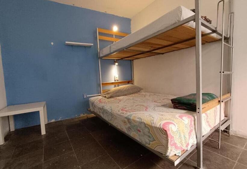 Pansiyon Monkey Safari Hostel