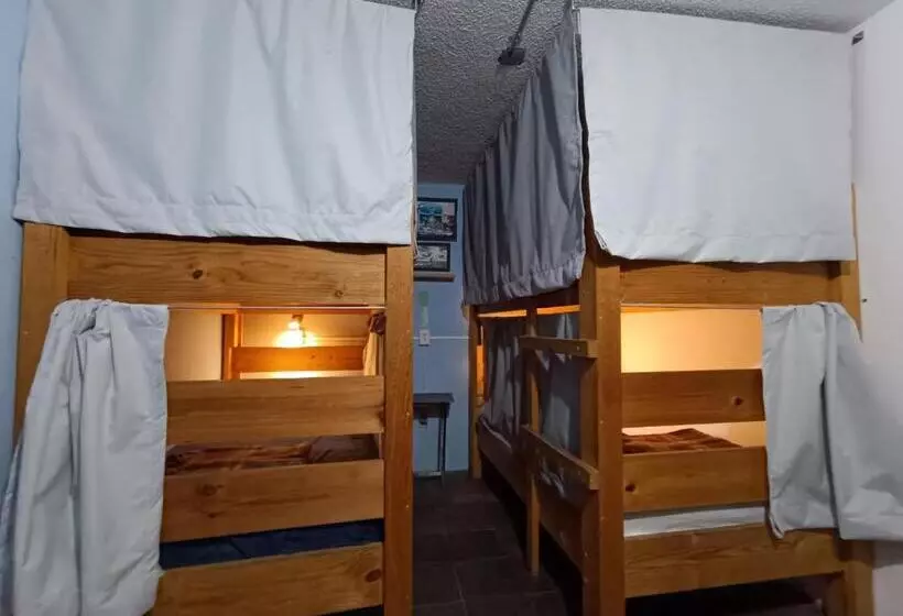 پانسیون Monkey Safari Hostel