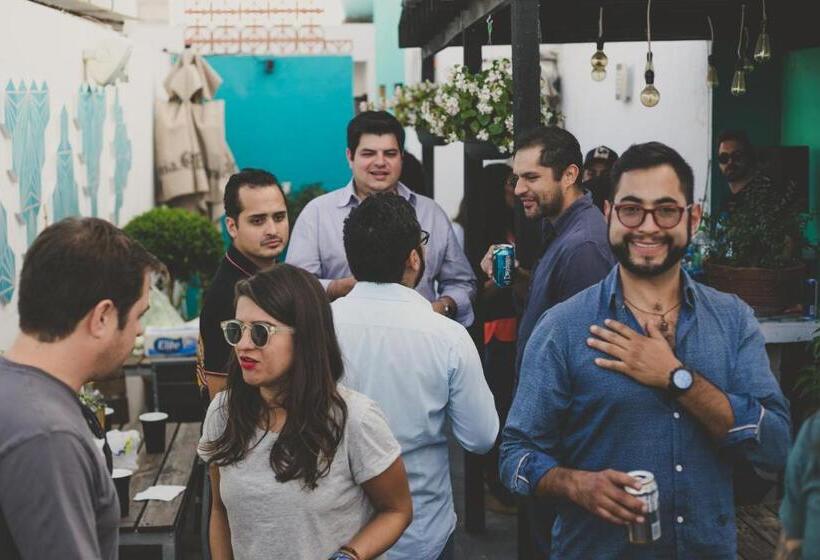 Pansiyon Monkey Safari Hostel