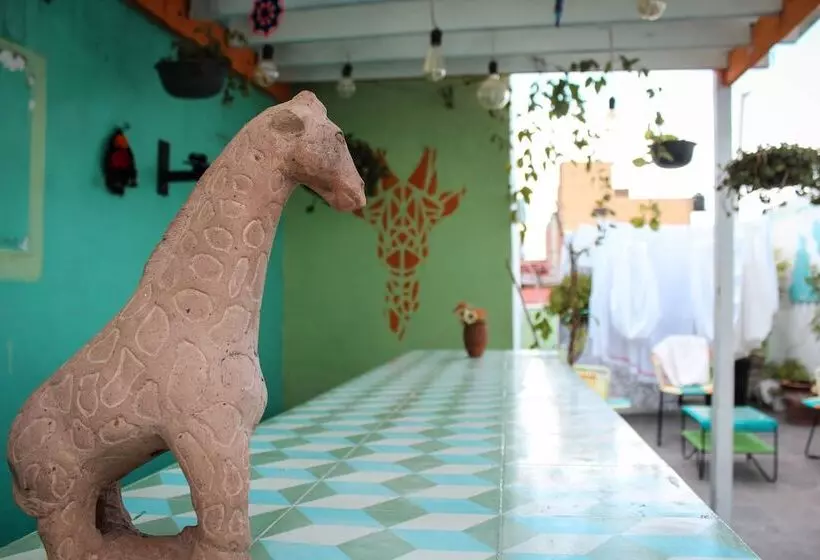 پانسیون Monkey Safari Hostel