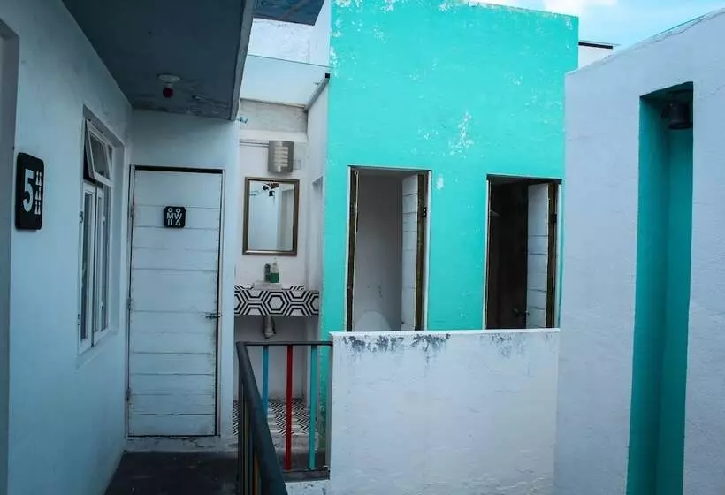 پانسیون Monkey Safari Hostel
