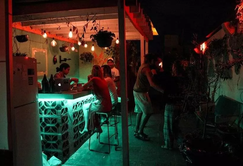 پانسیون Monkey Safari Hostel