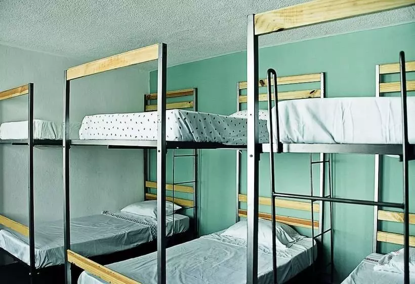 پانسیون Monkey Safari Hostel