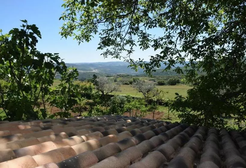 ペンション Quinta Da Boa Ventura