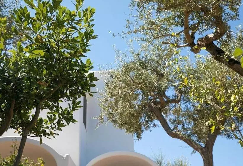 تختخواب و صبحانه Beb Casa Romano