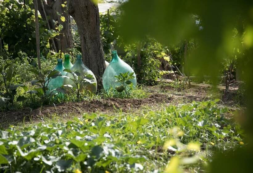 تختخواب و صبحانه Beb Casa Romano