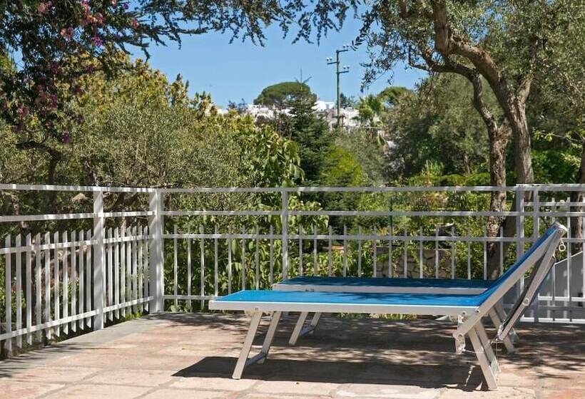 تختخواب و صبحانه Beb Casa Romano