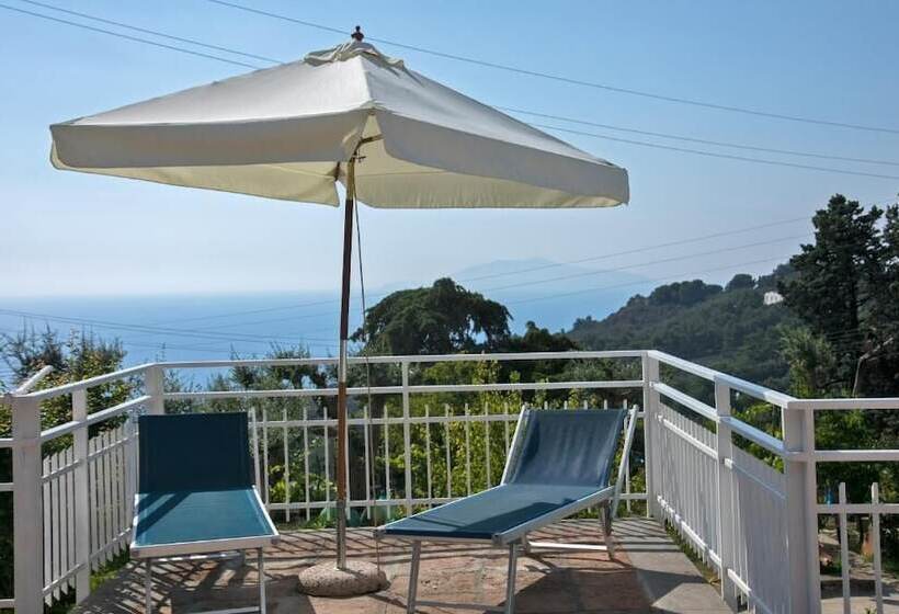 تختخواب و صبحانه Beb Casa Romano