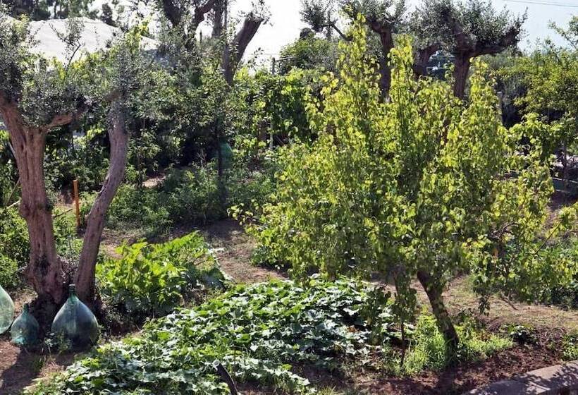 تختخواب و صبحانه Beb Casa Romano