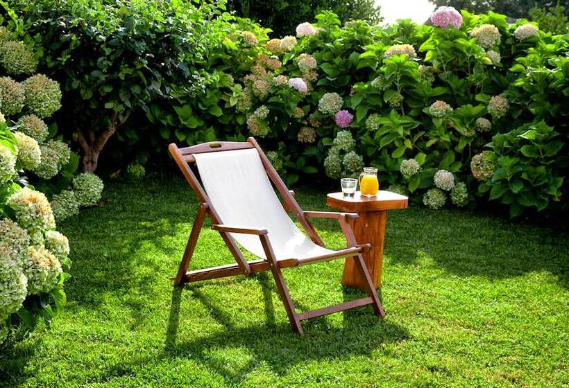 فندق Amanita Boutique