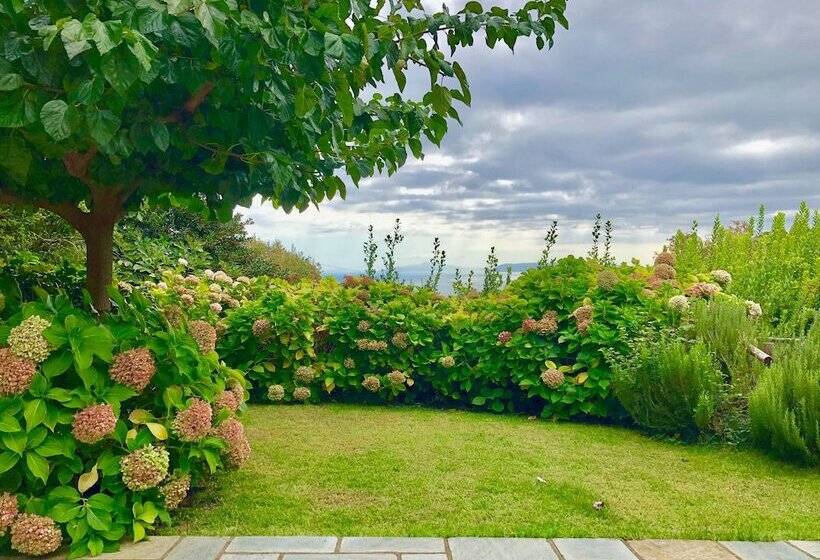 فندق Amanita Boutique