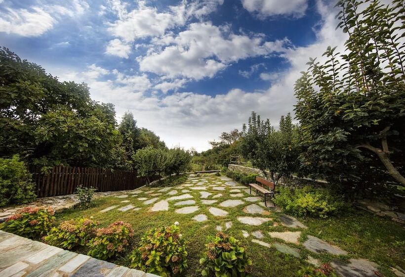 فندق Amanita Boutique