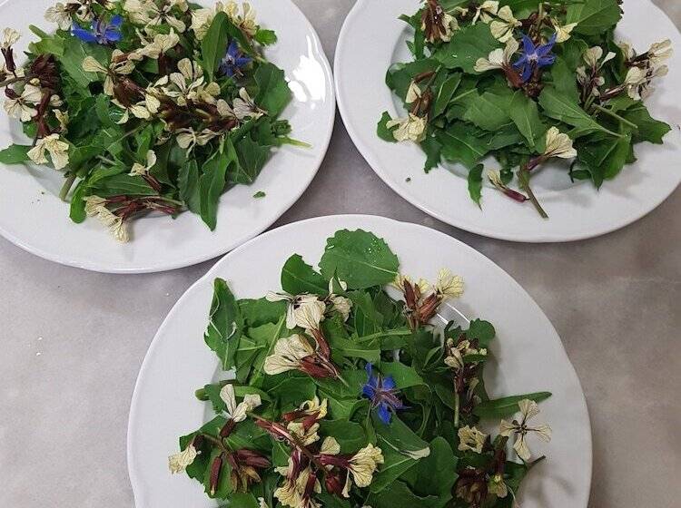 فندق Amanita Boutique