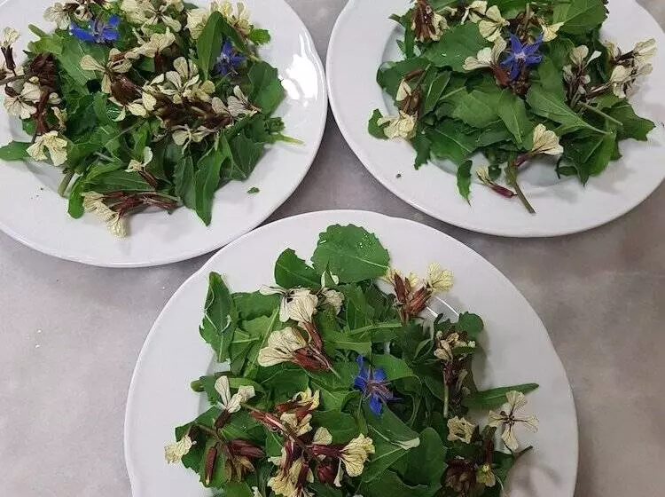 Hotelli Amanita Boutique