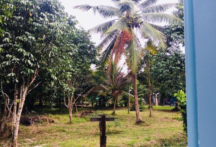 בית מלון כפרי Baan Kalaya Garden