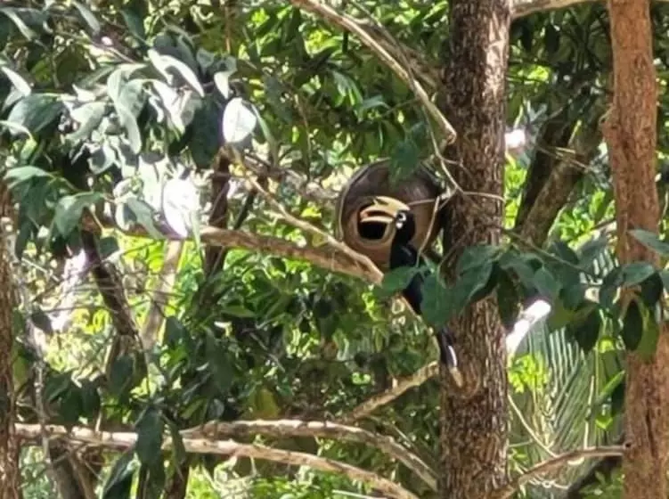 ホテル Banhalawee