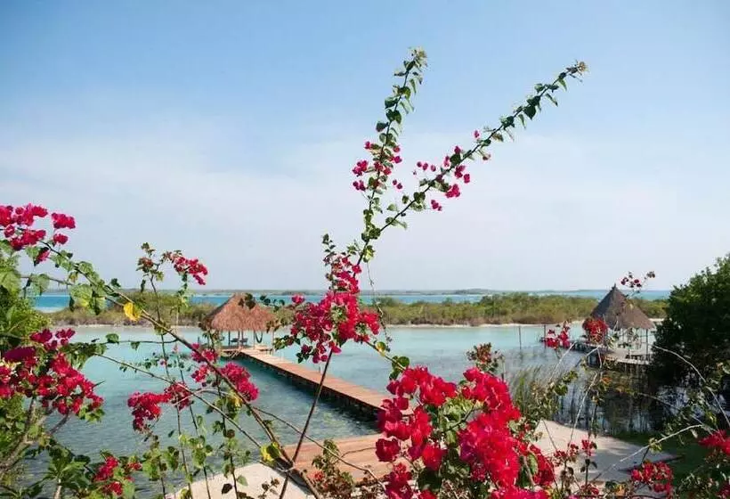هتل Casa Shiva Bacalar By Mij