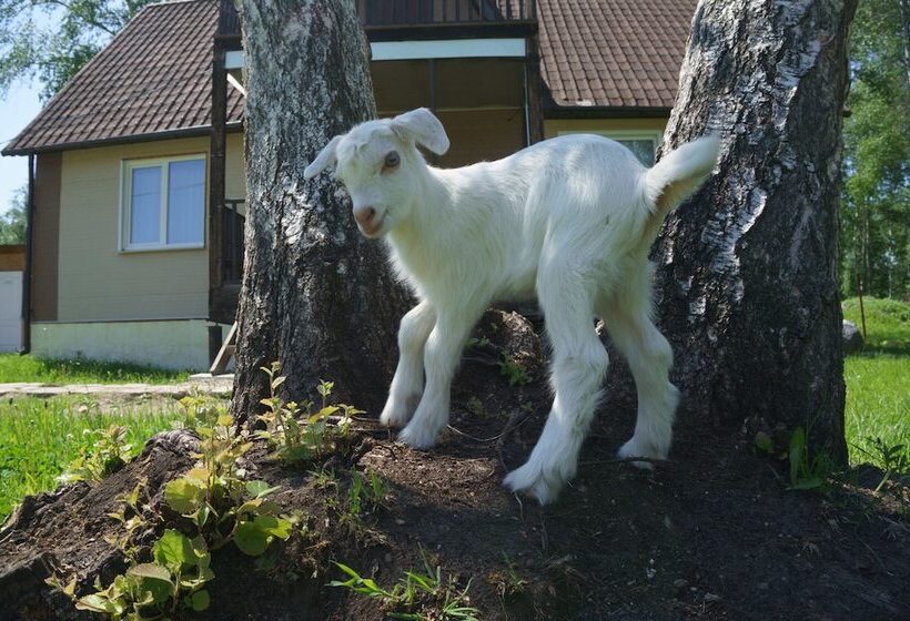 בית מלון כפרי Lesnaya Skazka Guest House