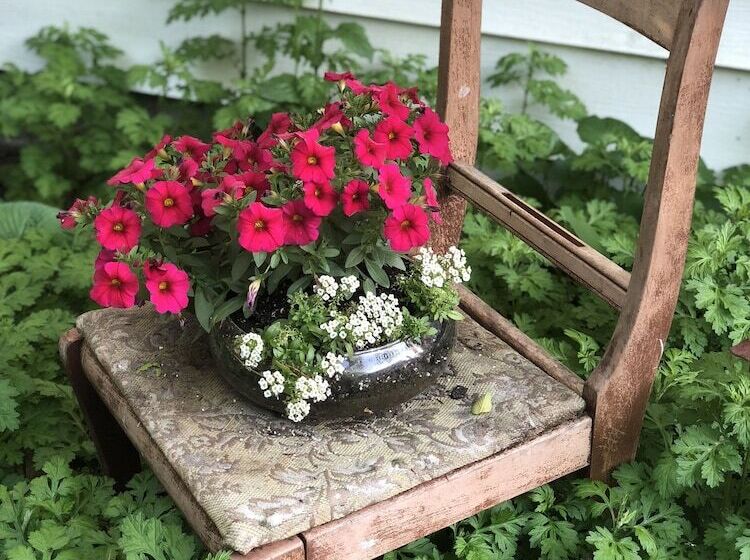 مبيت وإفطار Gardner Farm Inn