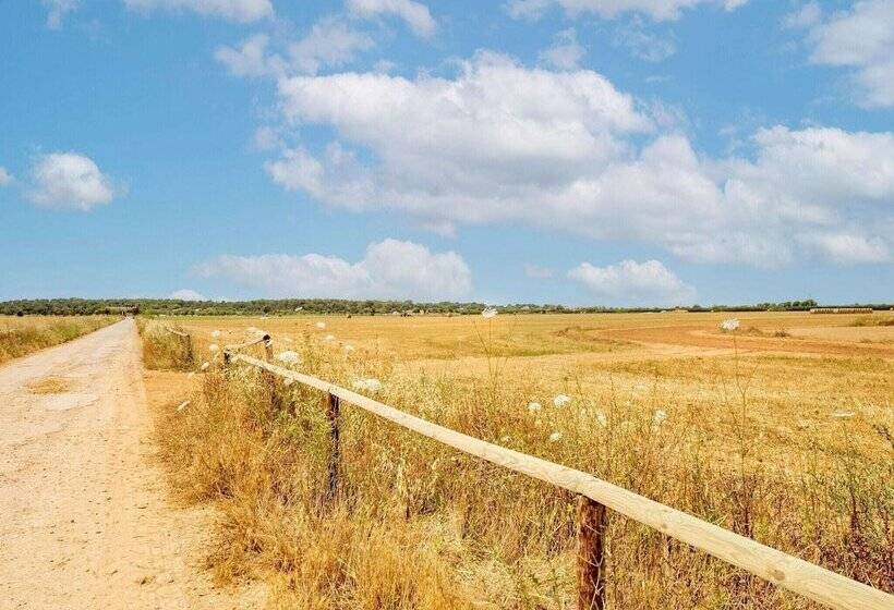 Classic Cottage In Campos Majorca With Swimming Pool