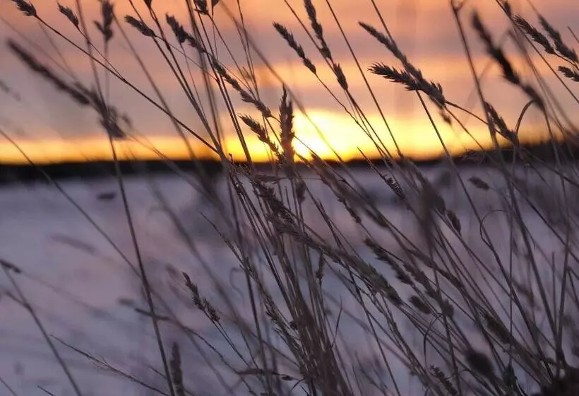 Graceful Holiday Home In Dankerode With Garden