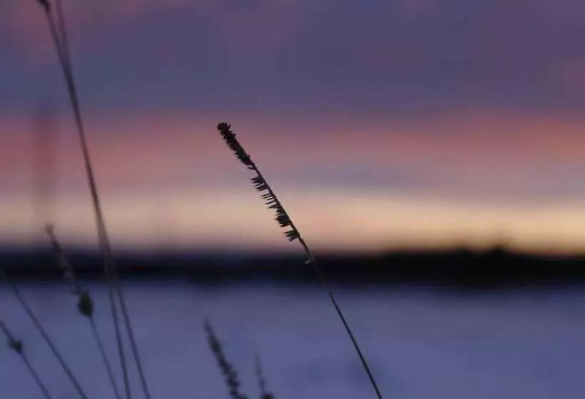 Graceful Holiday Home In Dankerode With Garden