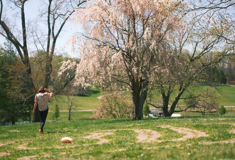 교외 호텔 The Horse Shoe Farm
