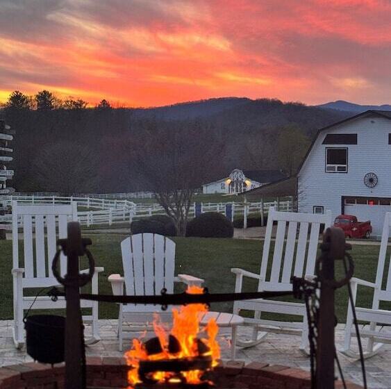 교외 호텔 The Horse Shoe Farm