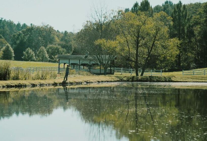 교외 호텔 The Horse Shoe Farm