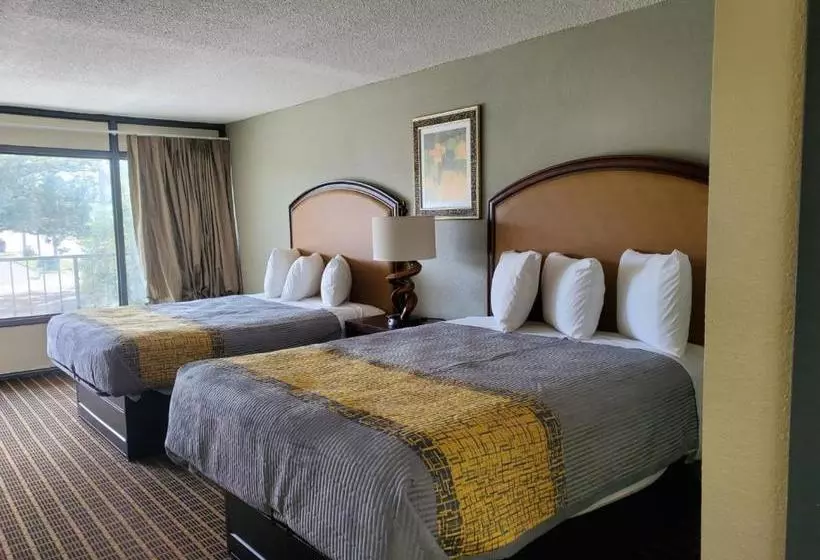 モーテル Palmetto Inn And Suites