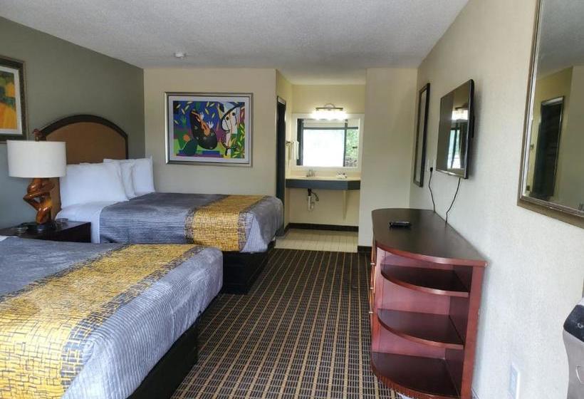 汽车旅馆  Palmetto Inn And Suites