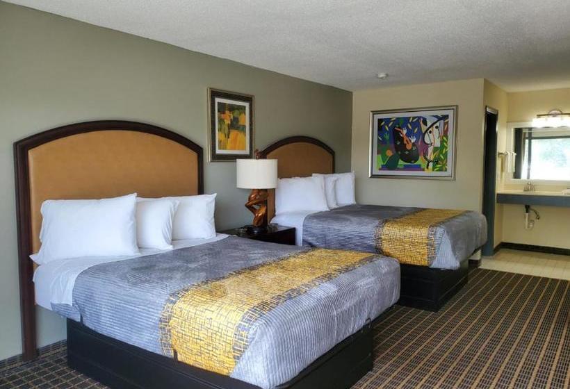 汽车旅馆  Palmetto Inn And Suites