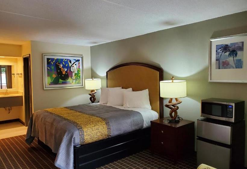 汽车旅馆  Palmetto Inn And Suites