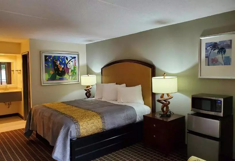 モーテル Palmetto Inn And Suites