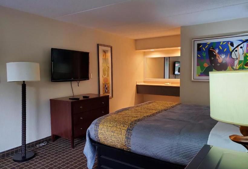 汽车旅馆  Palmetto Inn And Suites