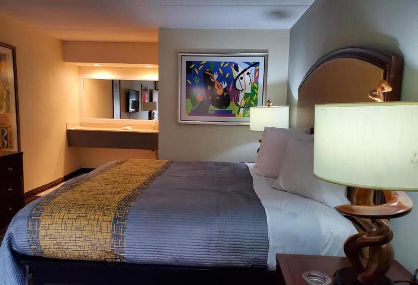 汽车旅馆  Palmetto Inn And Suites