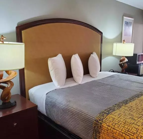 モーテル Palmetto Inn And Suites