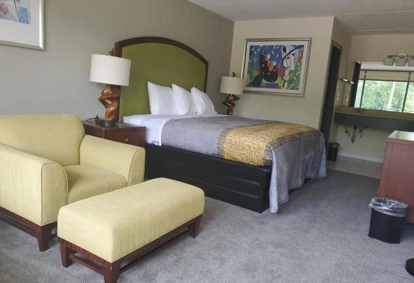 汽车旅馆  Palmetto Inn And Suites