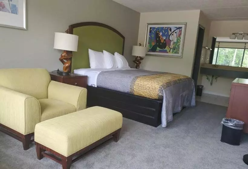 モーテル Palmetto Inn And Suites