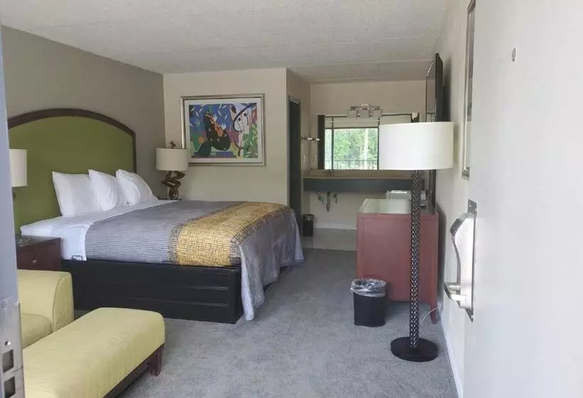 モーテル Palmetto Inn And Suites