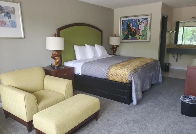 汽车旅馆  Palmetto Inn And Suites