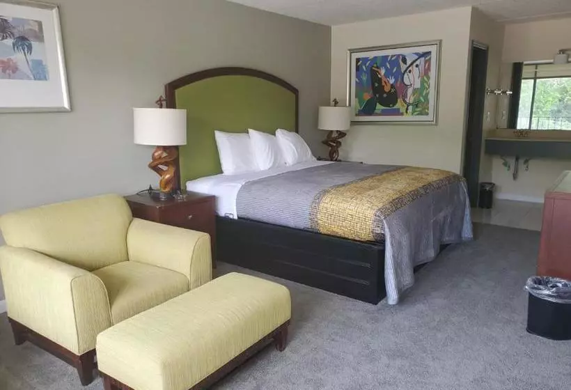 モーテル Palmetto Inn And Suites